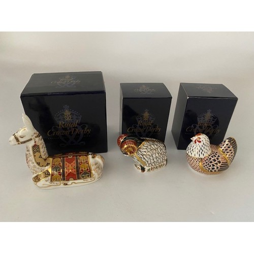 70 - Three Royal Crown Derby paperweights, all boxed - Chicken, Derby Ram and Llama