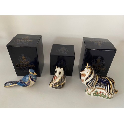 74 - Three Royal Crown Derby paperweights, all boxed - Blue Jay, Panda and Rough Collie