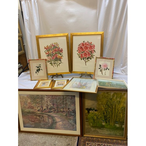 Lot 26        