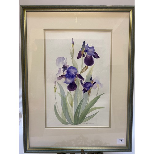 Lot 7         