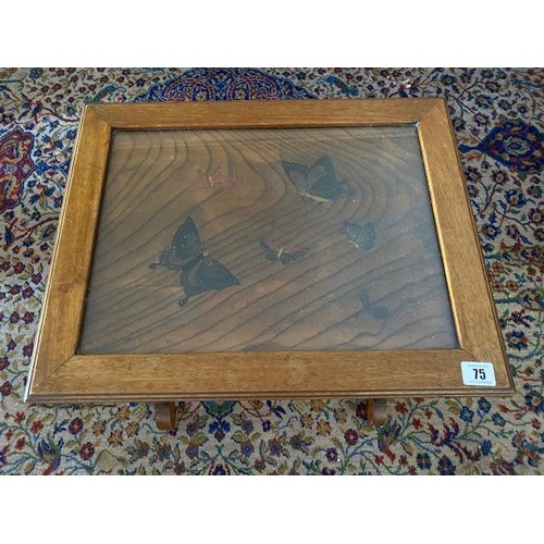 Lot 75        