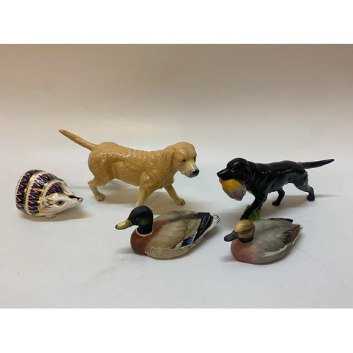 131 - A Royal Doulton model of a labrador, a Royal Worcester model of a gun dog (af), a Royal Crown Derby ... 