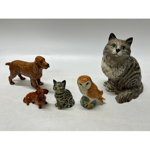 104 - Beswick comprising:- barn owl, two cats, a Red Setter Horseshoe Primula and a Dachshund