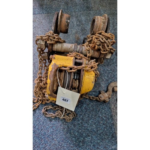 407 - Morris 500kg block and tackle