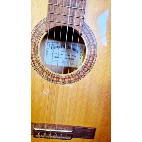 141 - Vintage Tranquillo Giannini cased classical guitar