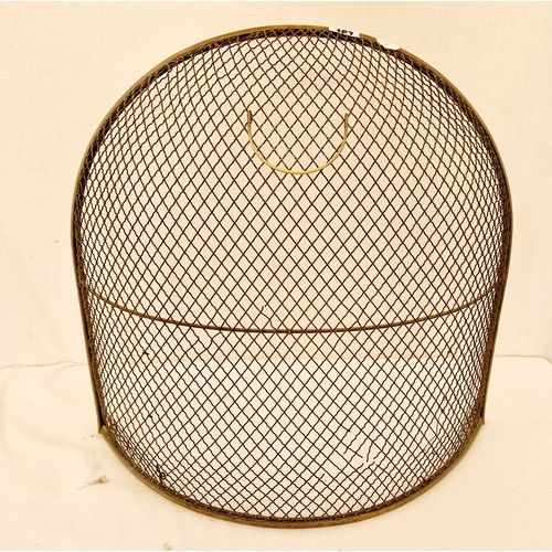 167 - Edwardian brass and mesh fire guard