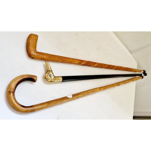 161 - 3 walking sticks, one with brass duck handle