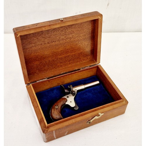 252 - Early 20th century dog scaring pistol in wooden case