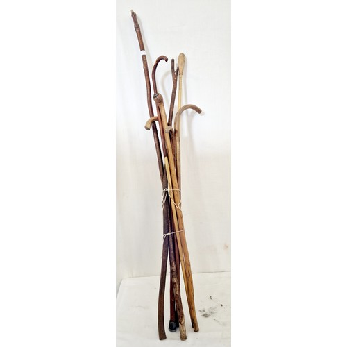 119 - Various thumb and walking sticks