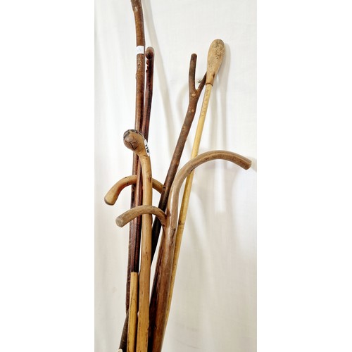 119 - Various thumb and walking sticks