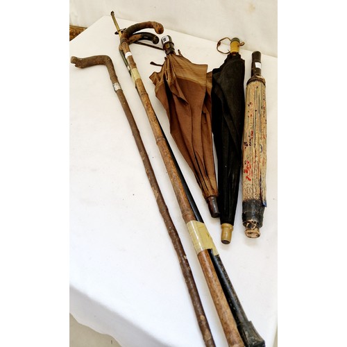 109 - Three parasols and three walking sticks
