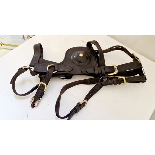 117 - Heavy horse working bridle