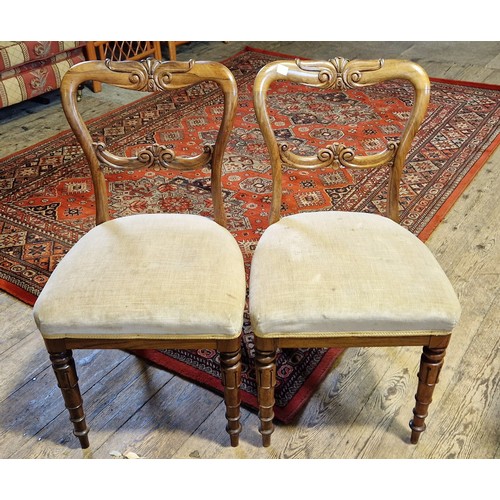 289 - A pair of late Victorian walnut framed balloon back dining chairs with scrolled carved backs on turn... 