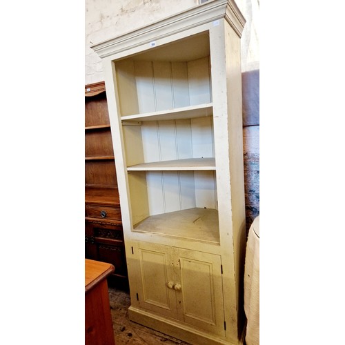 283 - Painted corner cabinet