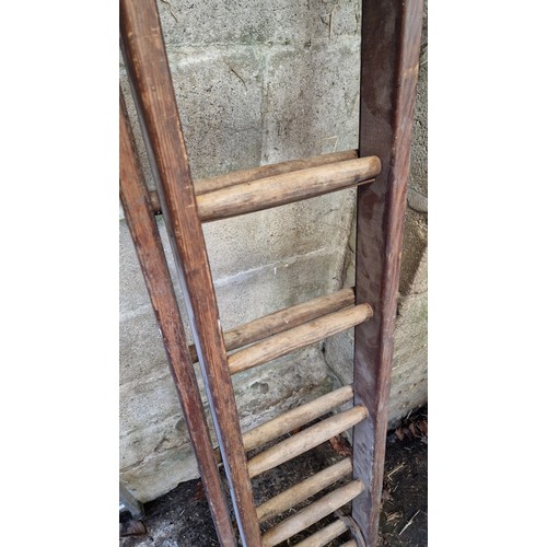 18 - Wooden extending ladder