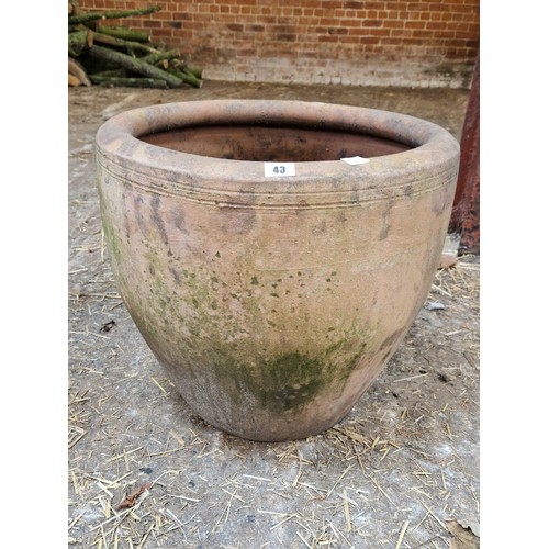 43 - Large unglazed terracotta planter