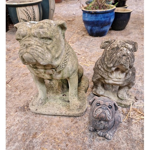 57 - Three simulated stone bull dog figures