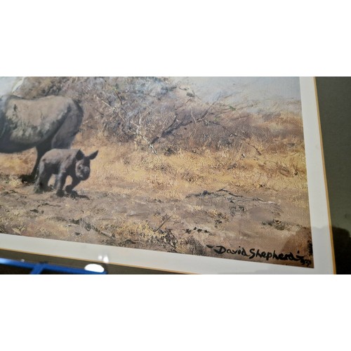 141 - Two David Shepherd prints of Rhinoceros and one of cattle The Orphans 394/950 on floral mounts