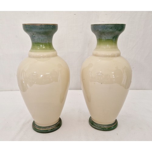 204 - Pair of painted floral glass vases