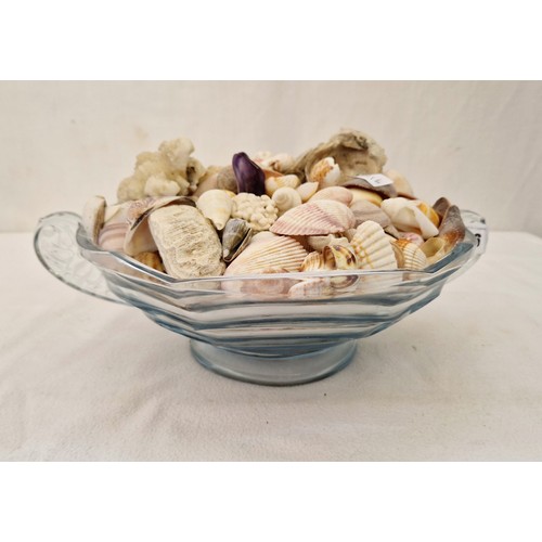 206 - Glass bowl of seashells, coral etc