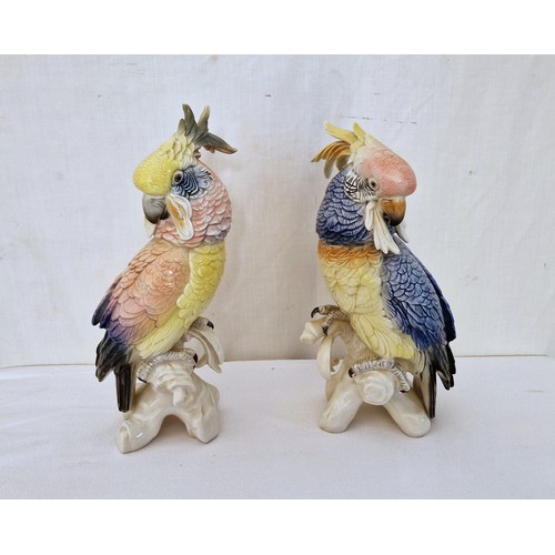 150 - Collection of nine Karl Ens porcelain exotic bird figurines, ranging from 19cm - 38cm tall