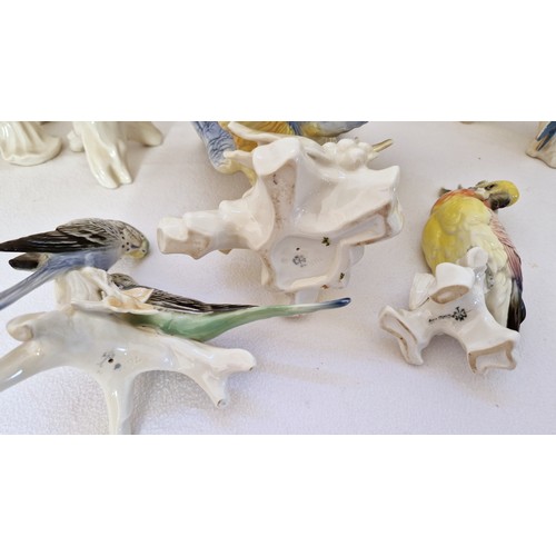 150 - Collection of nine Karl Ens porcelain exotic bird figurines, ranging from 19cm - 38cm tall