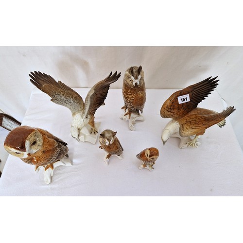 151 - Collection of six Karl Ens porcelain Birds of Prey figurines ranging from 13cm - 30cm tall