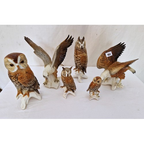 151 - Collection of six Karl Ens porcelain Birds of Prey figurines ranging from 13cm - 30cm tall