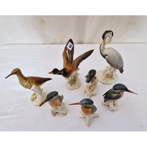 152 - Collection of seven Karl Ens porcelain water birds including Kingfisher, Heron etc ranging from 13cm... 