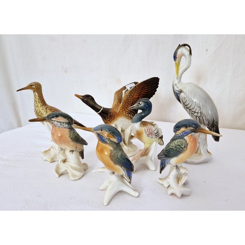 152 - Collection of seven Karl Ens porcelain water birds including Kingfisher, Heron etc ranging from 13cm... 