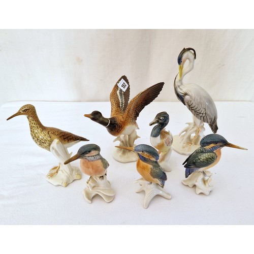 152 - Collection of seven Karl Ens porcelain water birds including Kingfisher, Heron etc ranging from 13cm... 