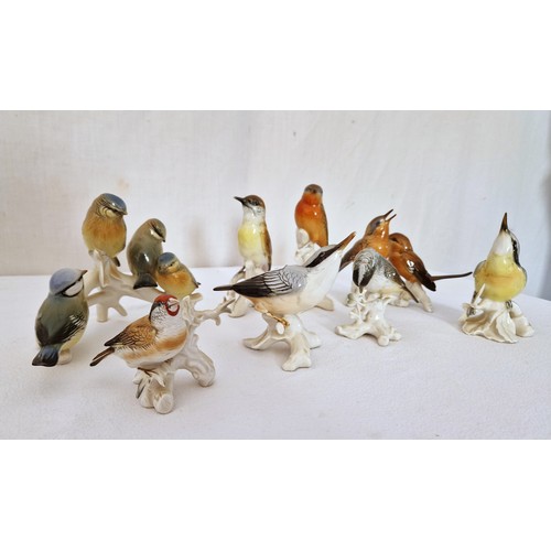 153 - Collection of eight Karl Ens porcelain song bird figurines including two groups - each on average 14... 