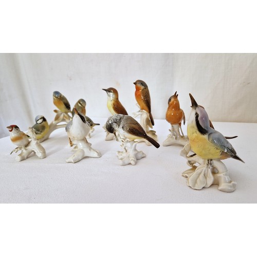 153 - Collection of eight Karl Ens porcelain song bird figurines including two groups - each on average 14... 