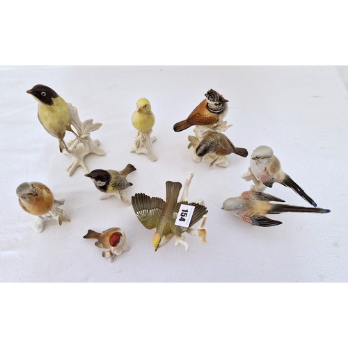 154 - Collection of eight Karl Ens porcelain song bird figurines, ranging from 8 - 18cm tall