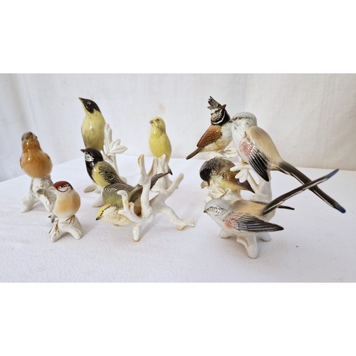 154 - Collection of eight Karl Ens porcelain song bird figurines, ranging from 8 - 18cm tall