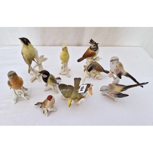 154 - Collection of eight Karl Ens porcelain song bird figurines, ranging from 8 - 18cm tall