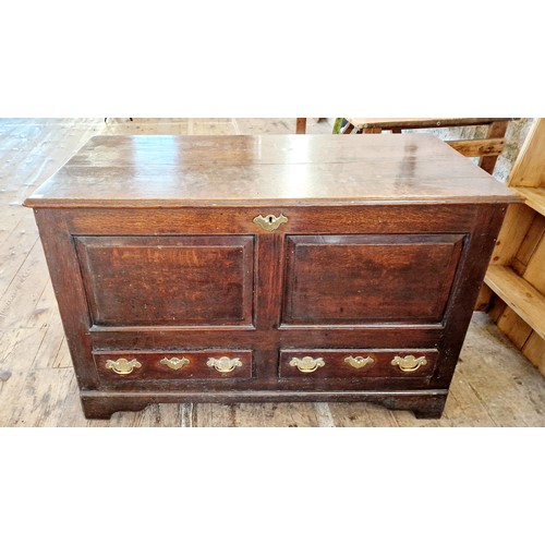 441 - Large dark oak coffer with relief panel front and two drawers to the base