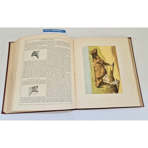 13 - Modern Practical Farriery, A Complete System of The Veterinary Art - W. J Miles, published by Gresha... 