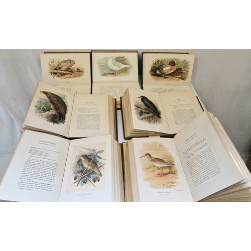 25 - Birds of the British Islands, volumes 1-7 by Lord Lilford FZS, reprinted by R.H Porter 1885-1897 in ... 