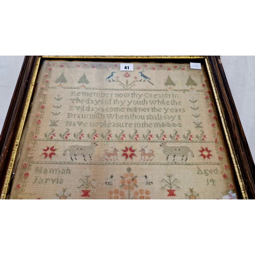 41 - Framed 19th century sampler undated by Hannah Jarvis, aged 14