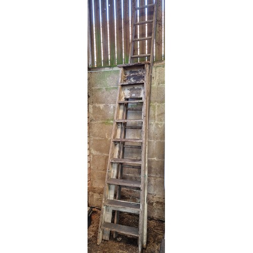 581 - Vintage wooden step ladders and wooden ladder