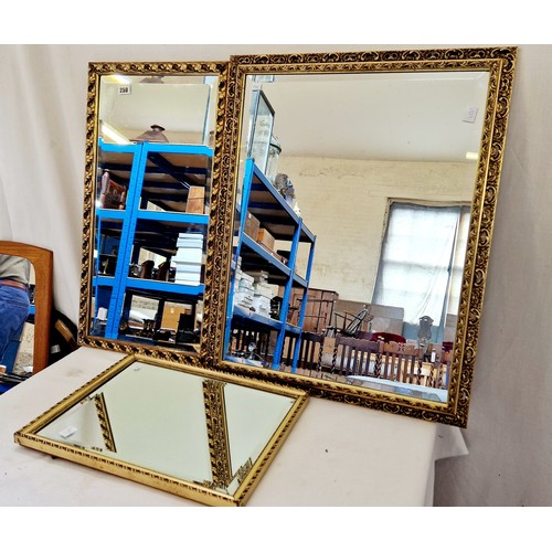 250 - Three various modern gilt framed wall mirrors