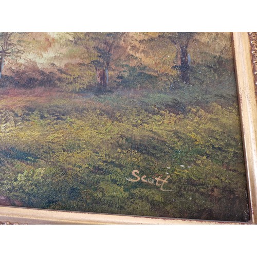 24 - Modern oil on canvas of a woodland scene signed Scott