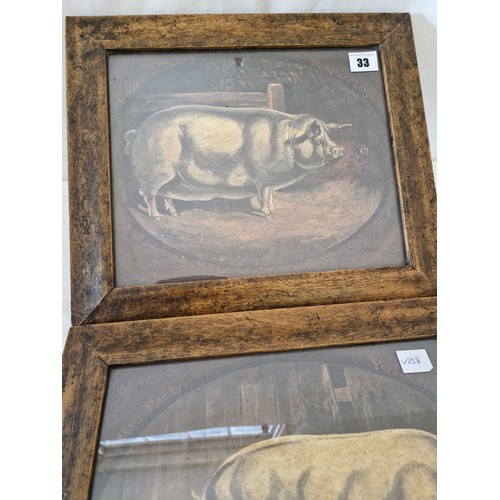 33 - Two framed prints of sows in an interior