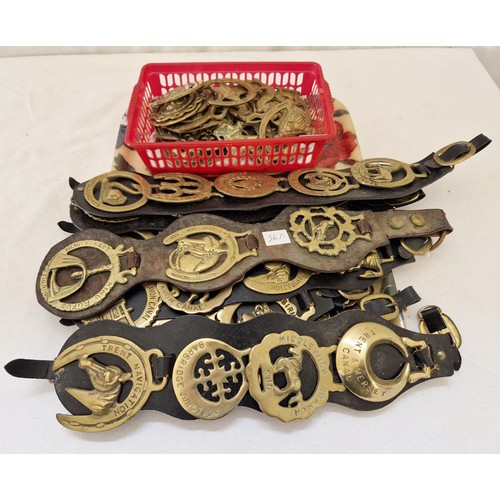 130 - Various equine brasses and martingales