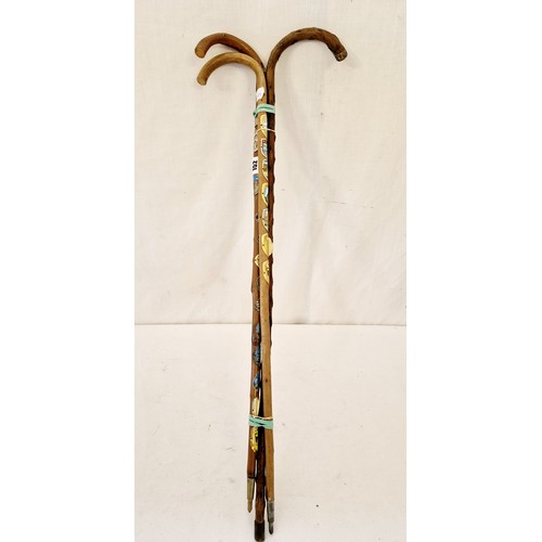 152 - Blackthorn walking cane and two canes with Tyrolean badges