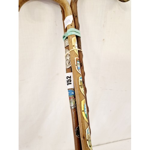 152 - Blackthorn walking cane and two canes with Tyrolean badges