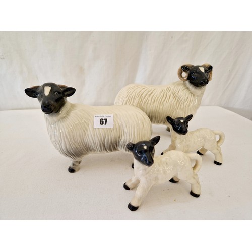 67 - Melba Ware gloss group of ram, ewe and two lambs