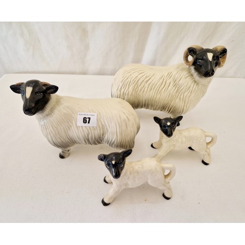 67 - Melba Ware gloss group of ram, ewe and two lambs