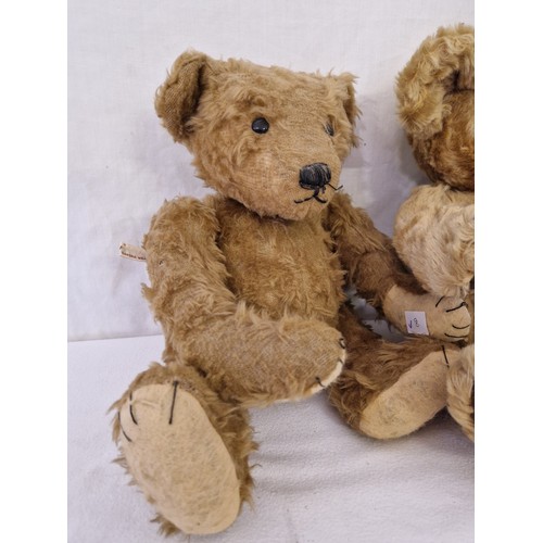 189 - Two mohair teddy bears, Roseberry and Madrigal design, one growler